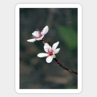 Purple Leaf Sand Cherry Book Cover Sticker